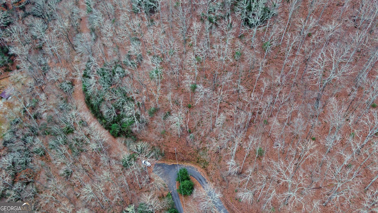 333 Favor Lane Rabun Gap - Photo 90