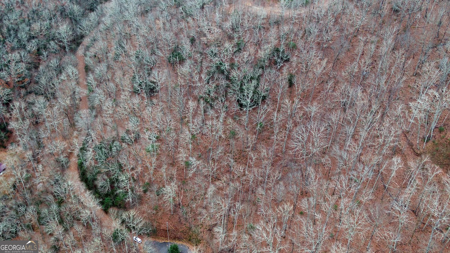 333 Favor Lane Rabun Gap - Photo 93