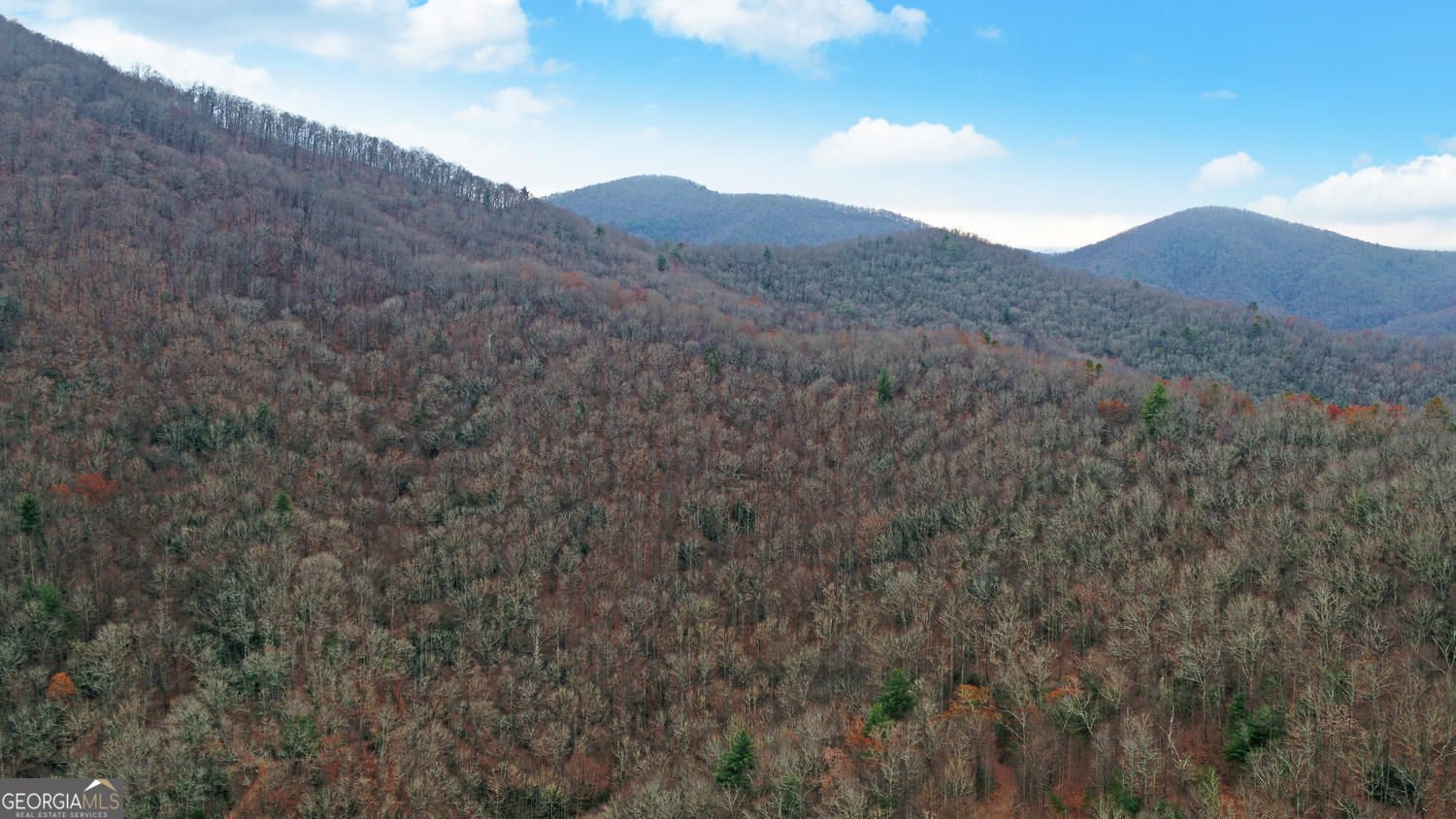 333 Favor Lane Rabun Gap - Photo 95