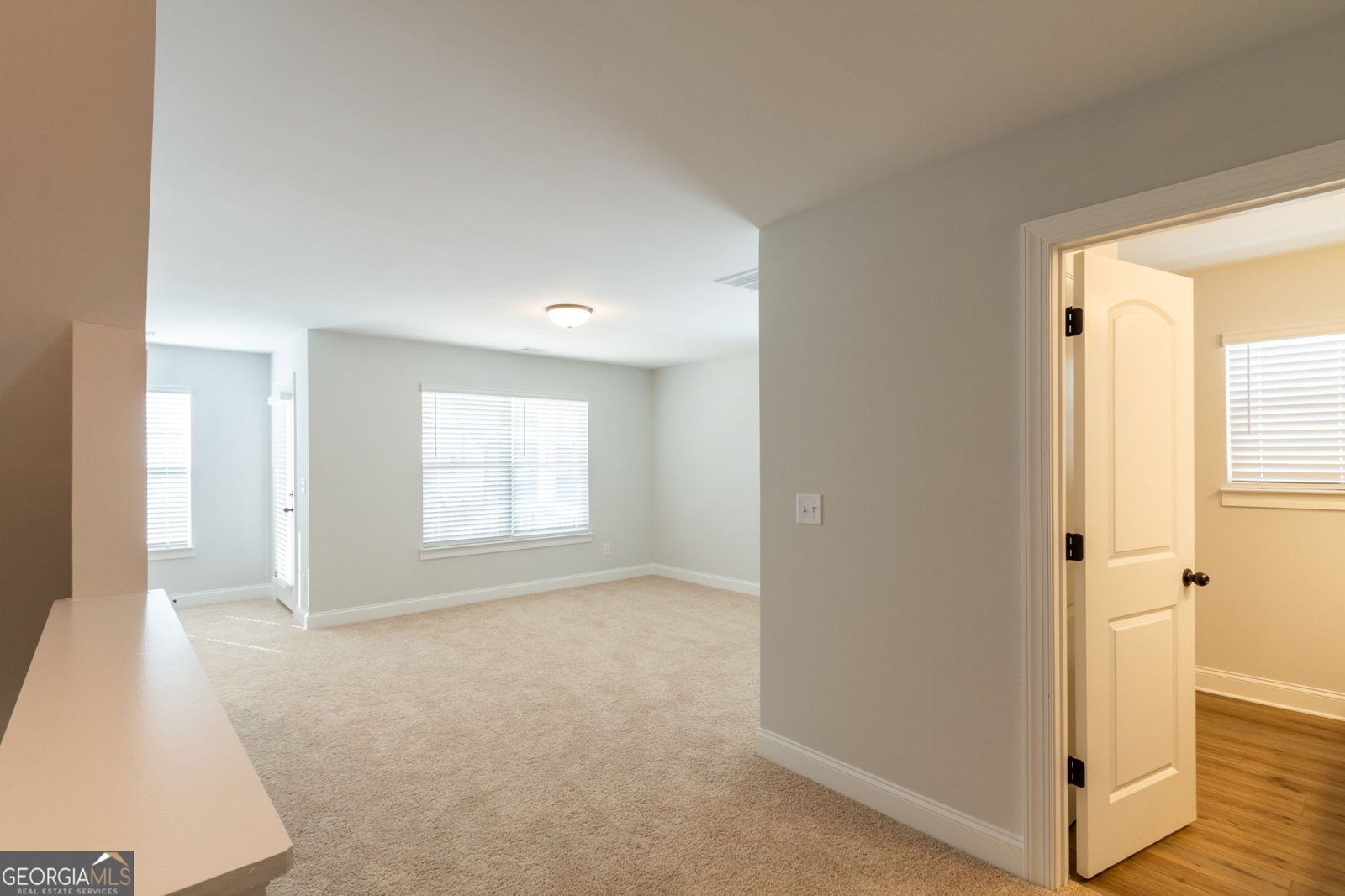 303 Bull Shoals Way Hoschton - Photo 17