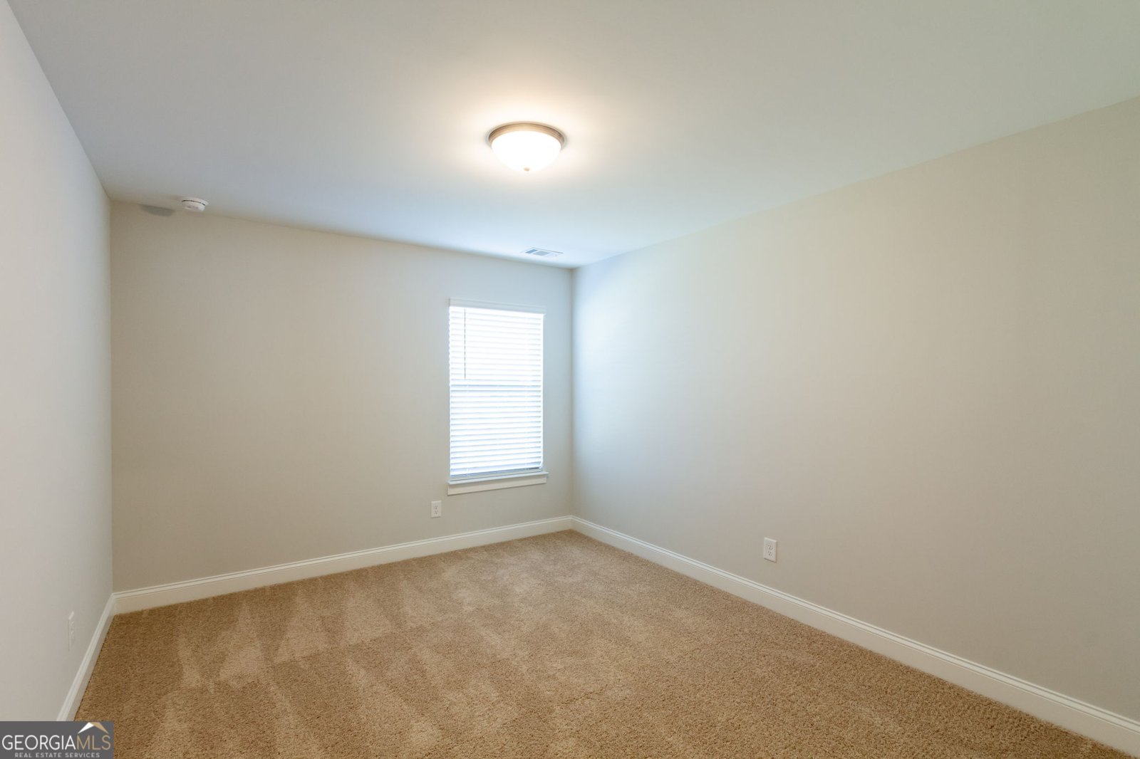 303 Bull Shoals Way Hoschton - Photo 19