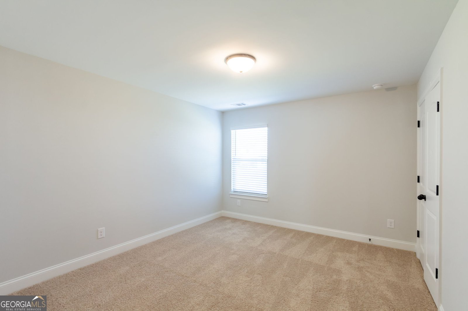 303 Bull Shoals Way Hoschton - Photo 20