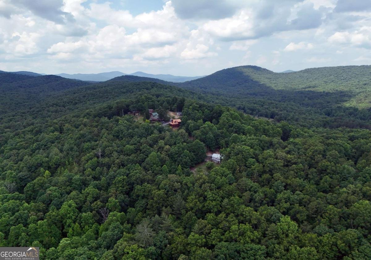 224 Crest Road Blairsville - Photo 17