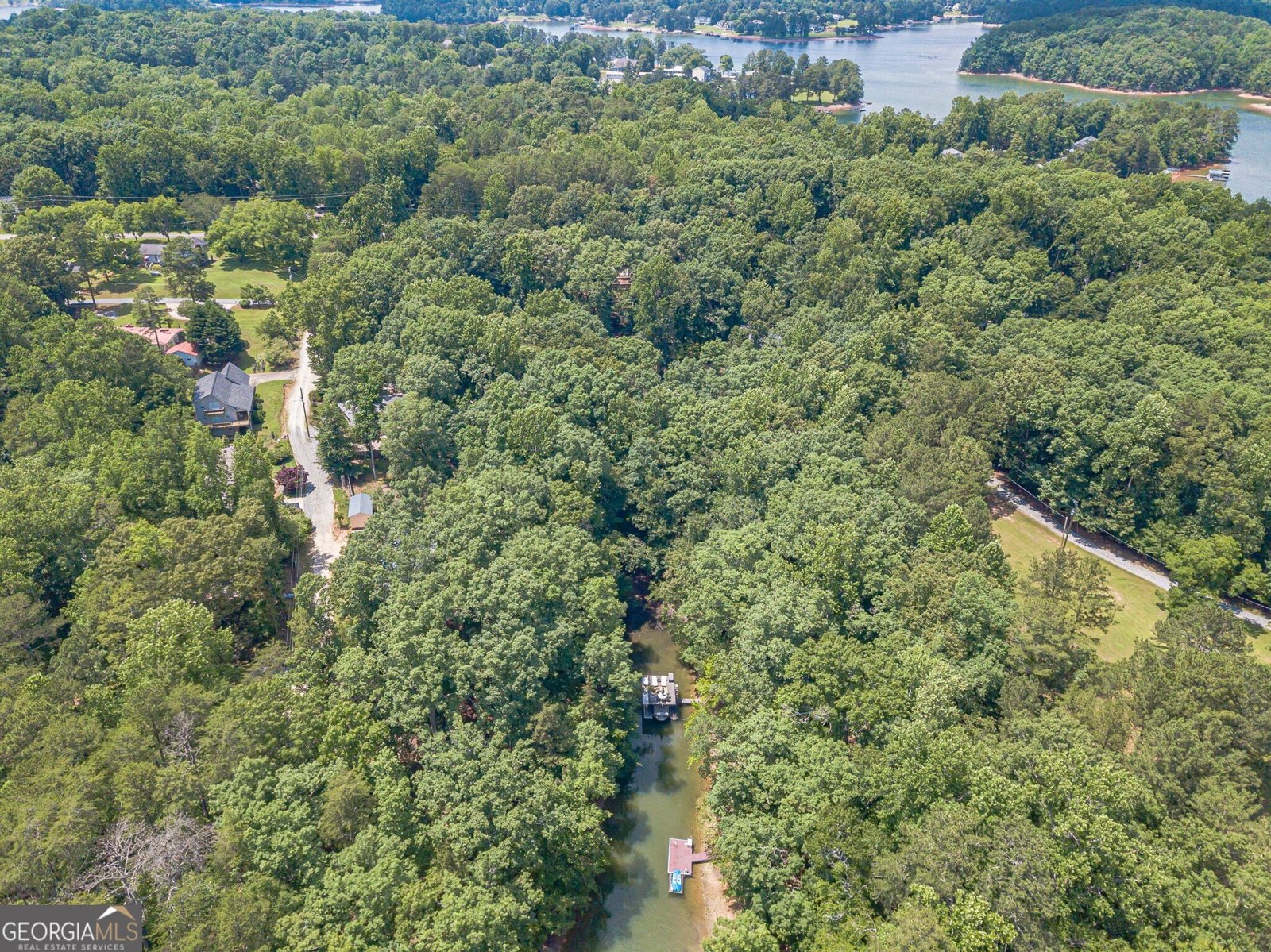 45 Lakepoint Drive Dawsonville - Photo 44