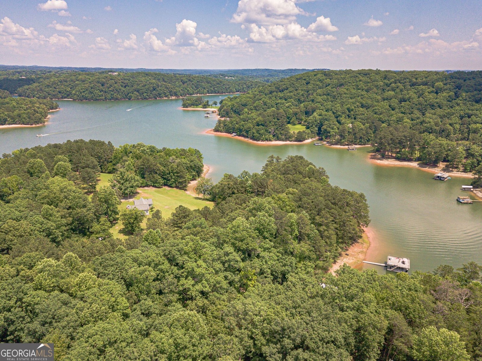 45 Lakepoint Drive Dawsonville - Photo 46