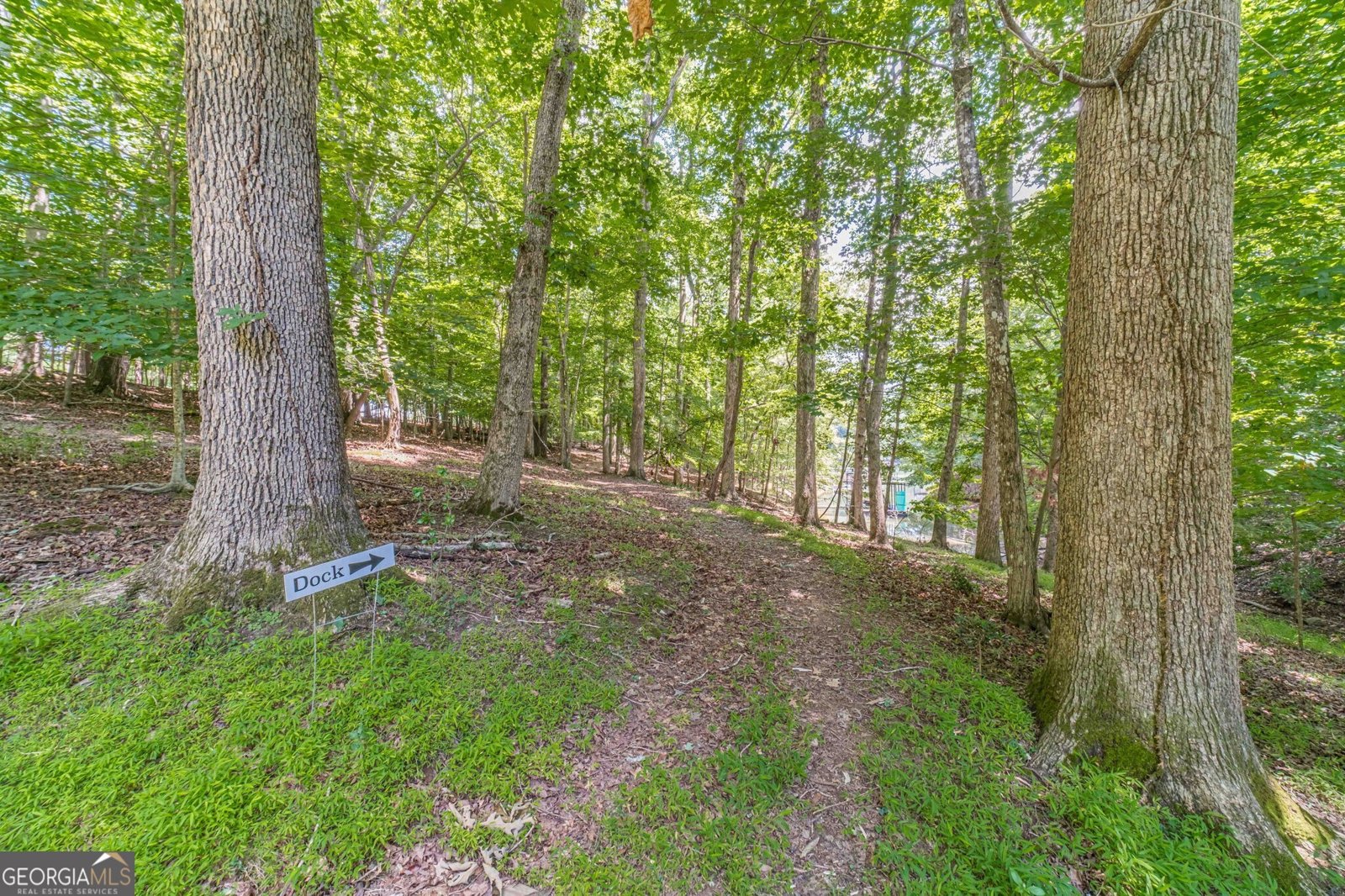 45 Lakepoint Drive Dawsonville - Photo 47