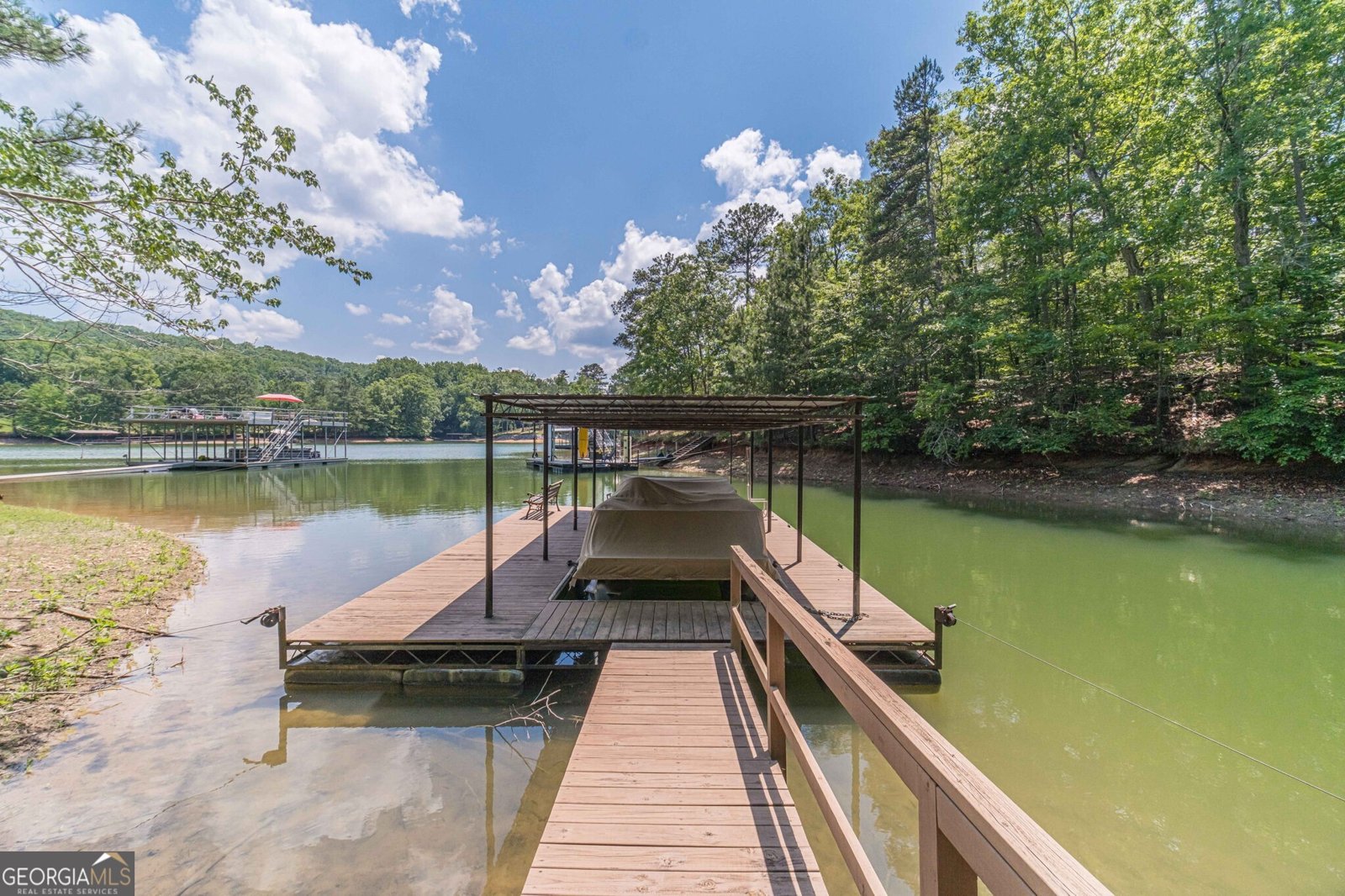 45 Lakepoint Drive Dawsonville - Photo 49