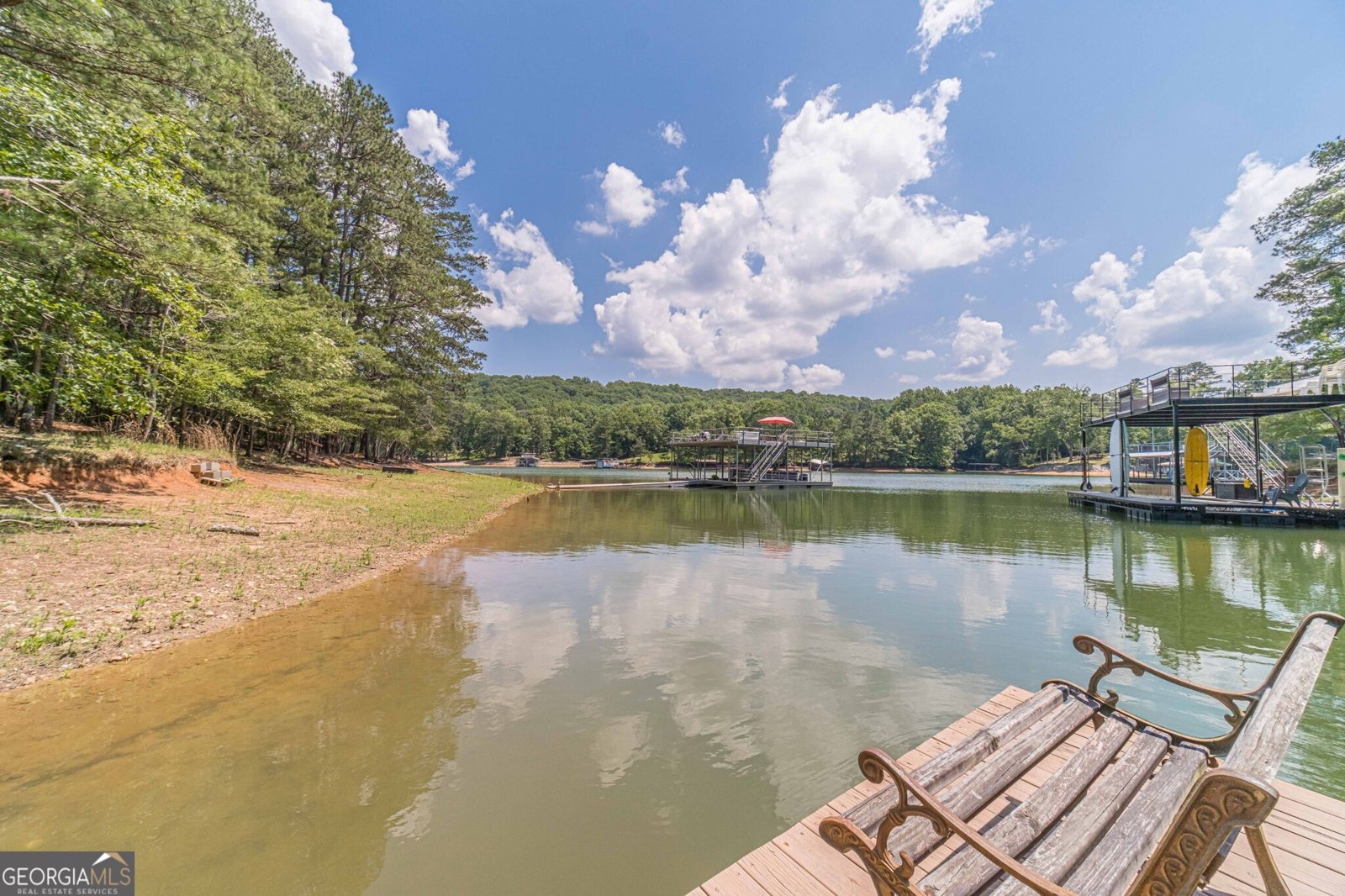45 Lakepoint Drive Dawsonville - Photo 50