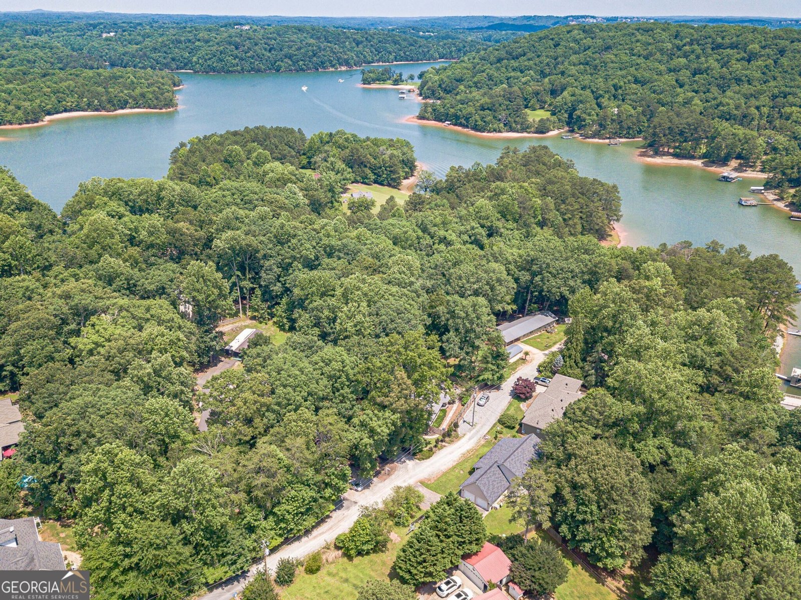 45 Lakepoint Drive Dawsonville - Photo 51