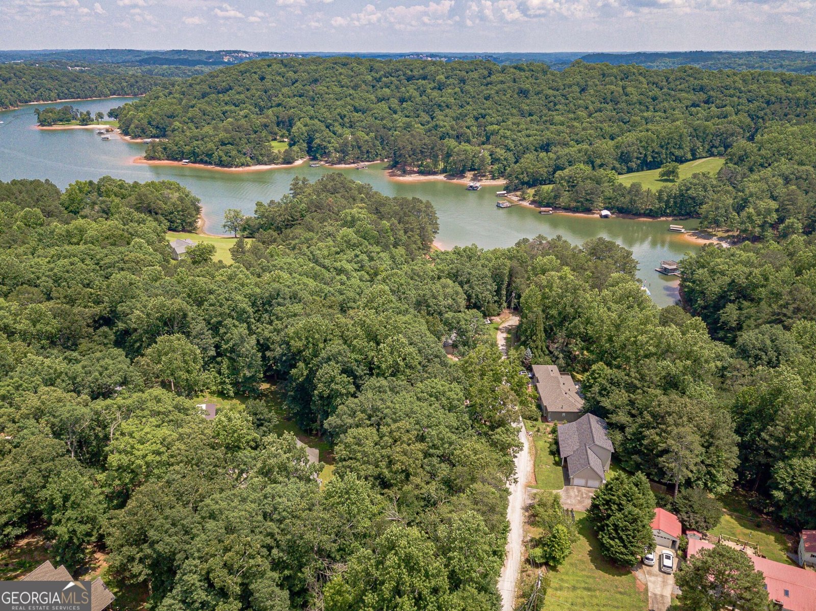 45 Lakepoint Drive Dawsonville - Photo 52