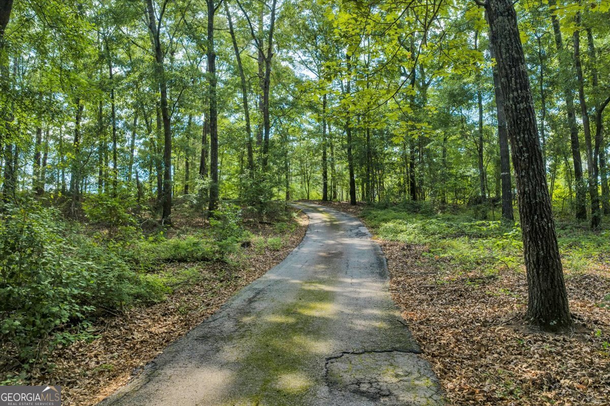 3826 Boy Scout Road Byron - Photo 47