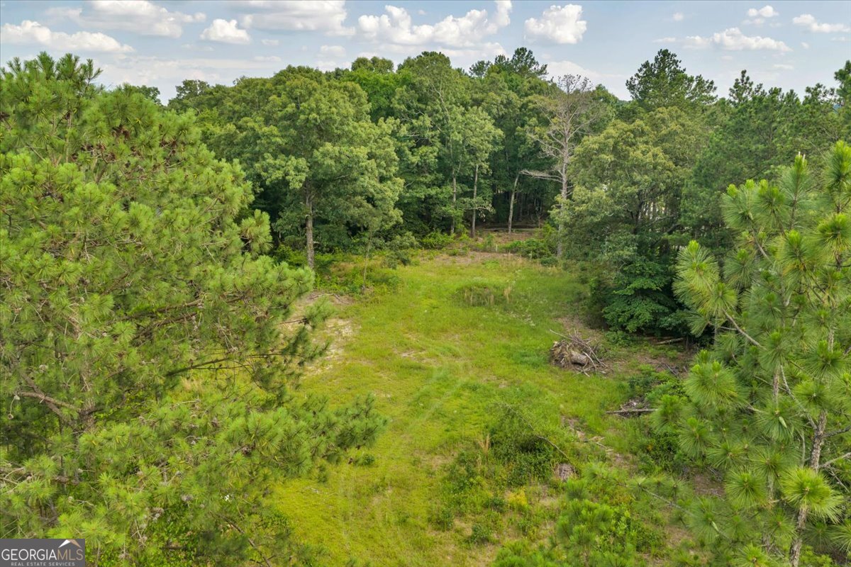 3826 Boy Scout Road Byron - Photo 50