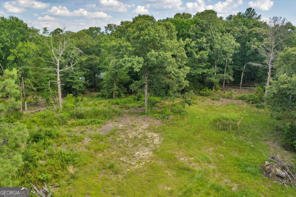 3826 Boy Scout Road Byron - Photo 51