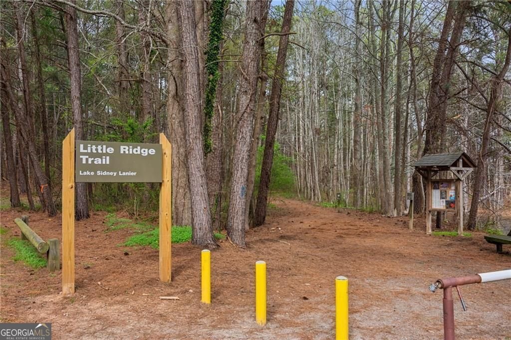 3200 Rim Cove Drive Cumming - Photo 18
