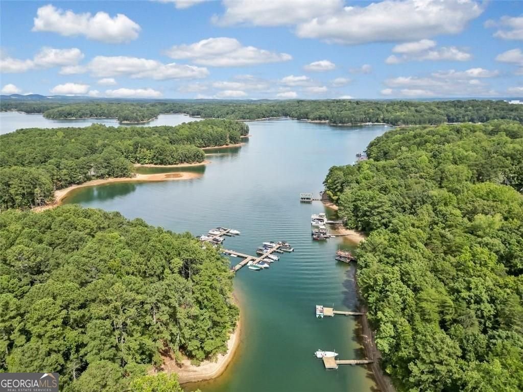 3200 Rim Cove Drive Cumming - Photo 29