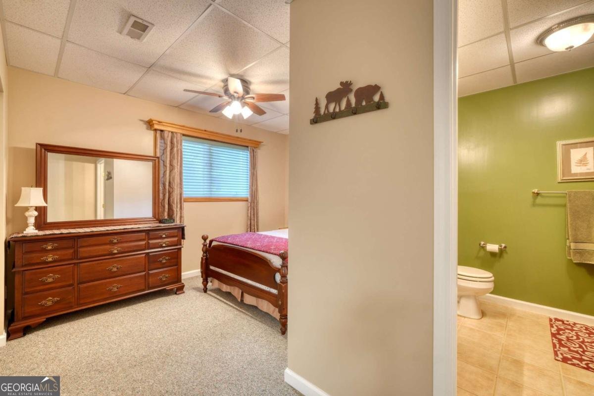 880 Locust Trail Hiawassee - Photo 54