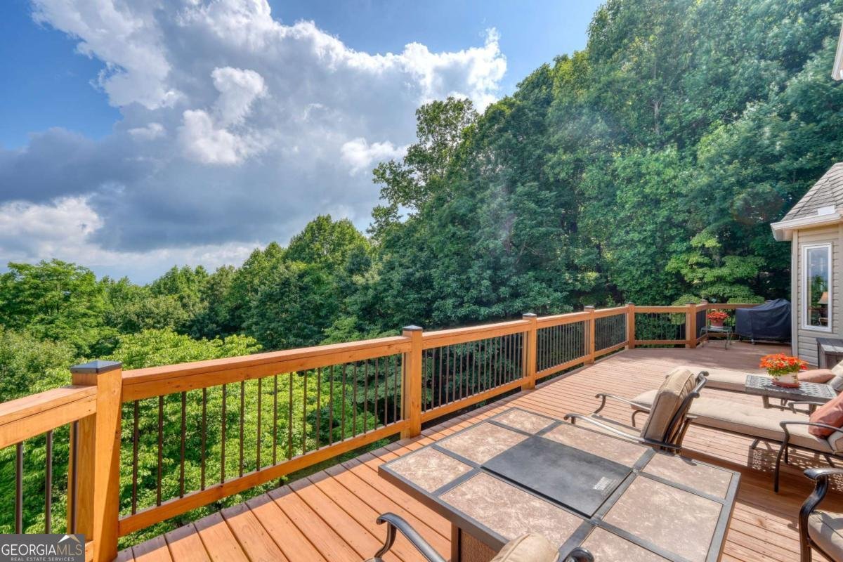 880 Locust Trail Hiawassee - Photo 64