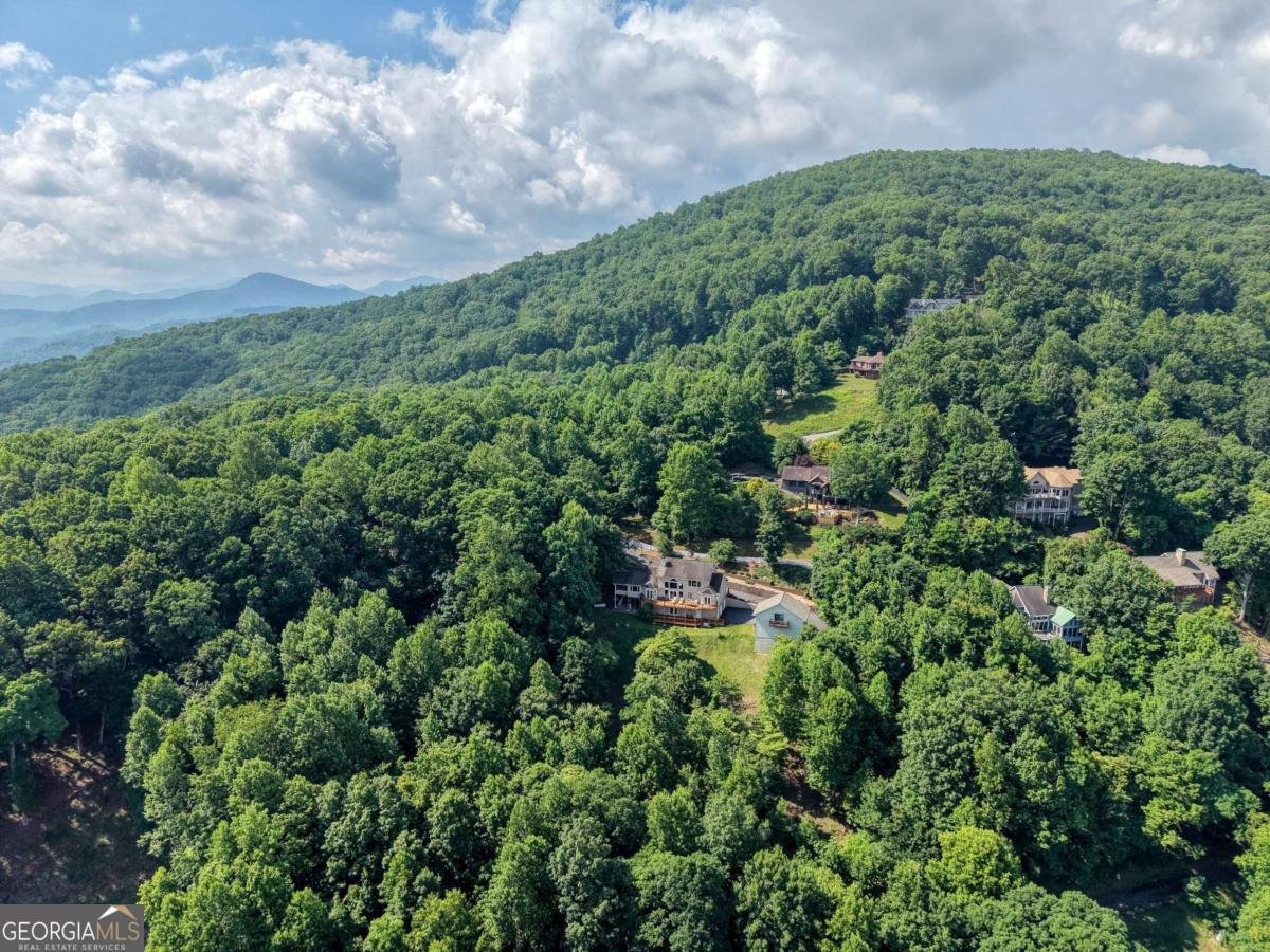880 Locust Trail Hiawassee - Photo 78