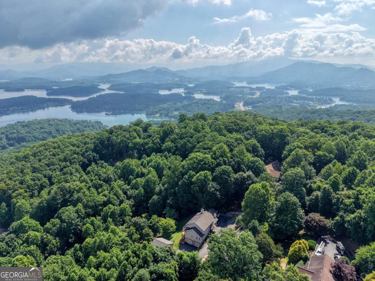 880 Locust Trail Hiawassee - Photo 79