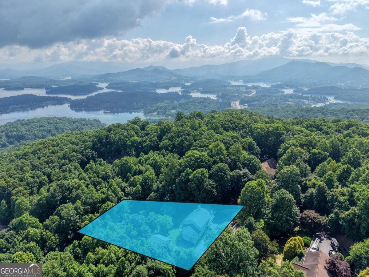 880 Locust Trail Hiawassee - Photo 80