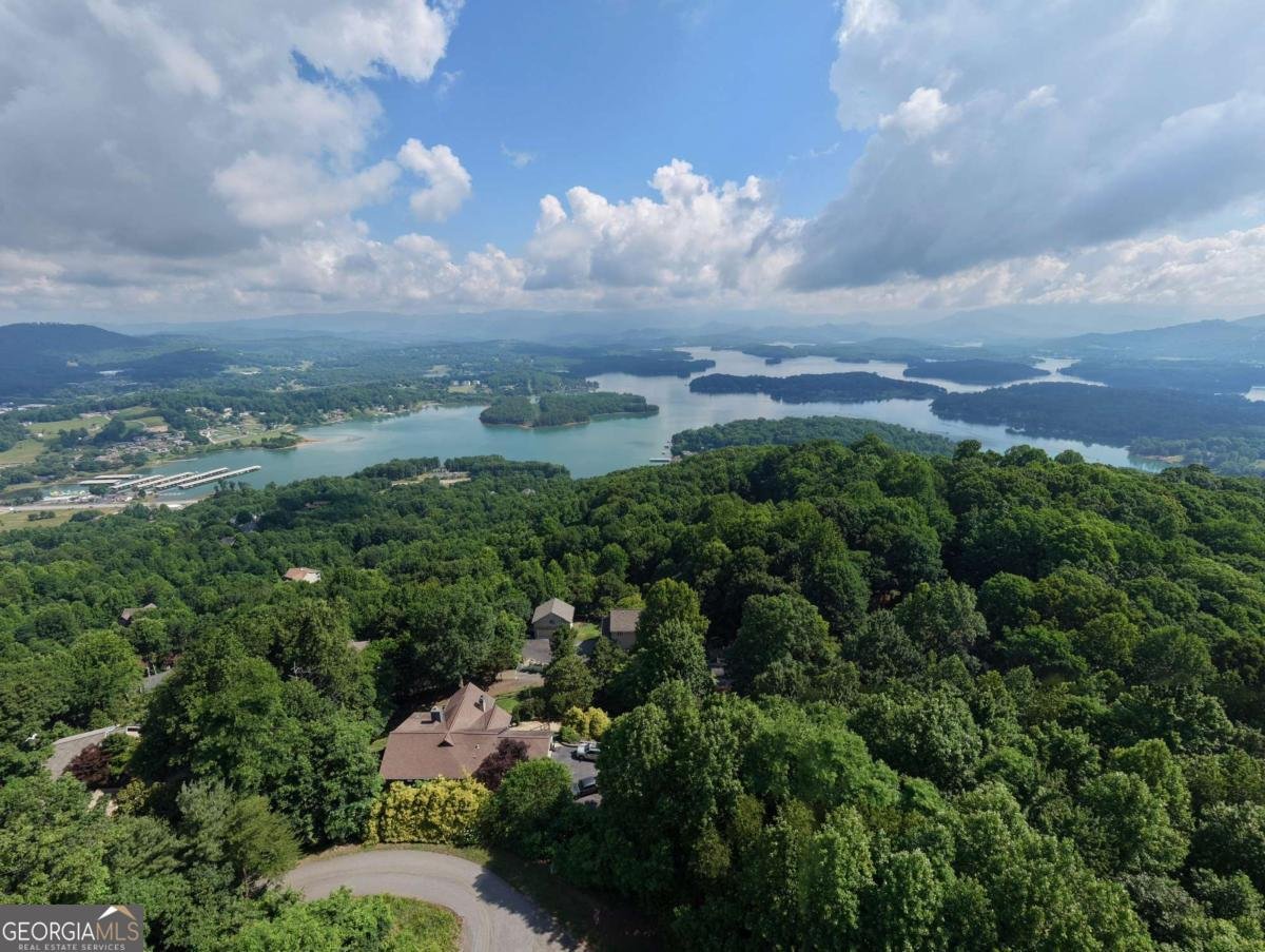 880 Locust Trail Hiawassee - Photo 81