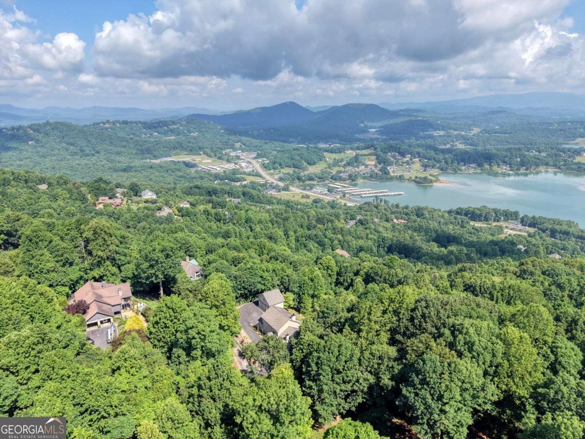 880 Locust Trail Hiawassee - Photo 83