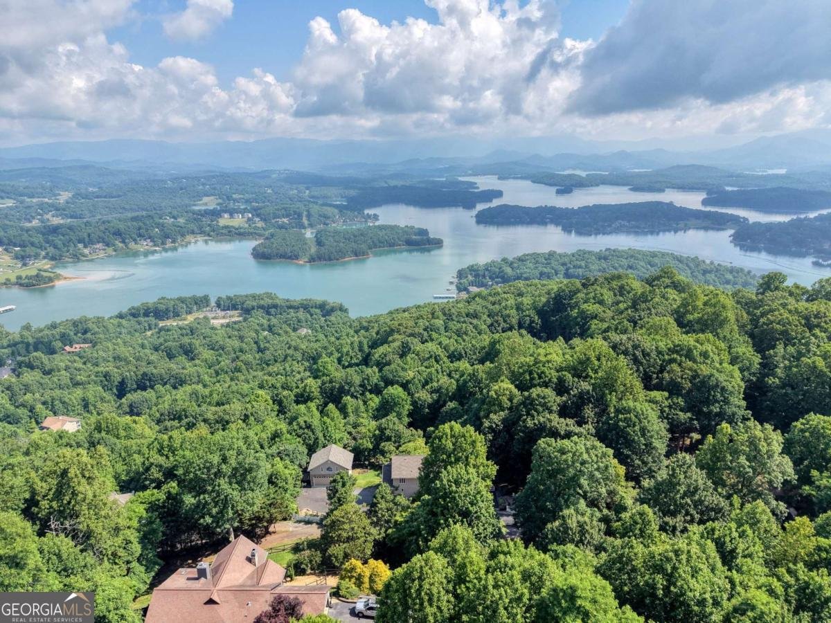 880 Locust Trail Hiawassee - Photo 84