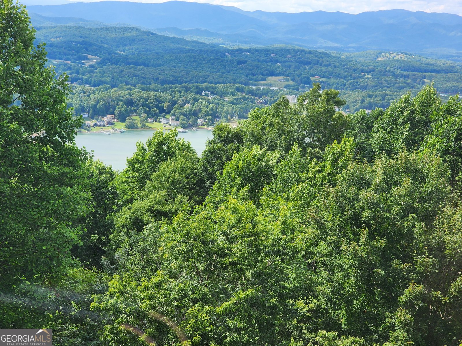880 Locust Trail Hiawassee - Photo 86