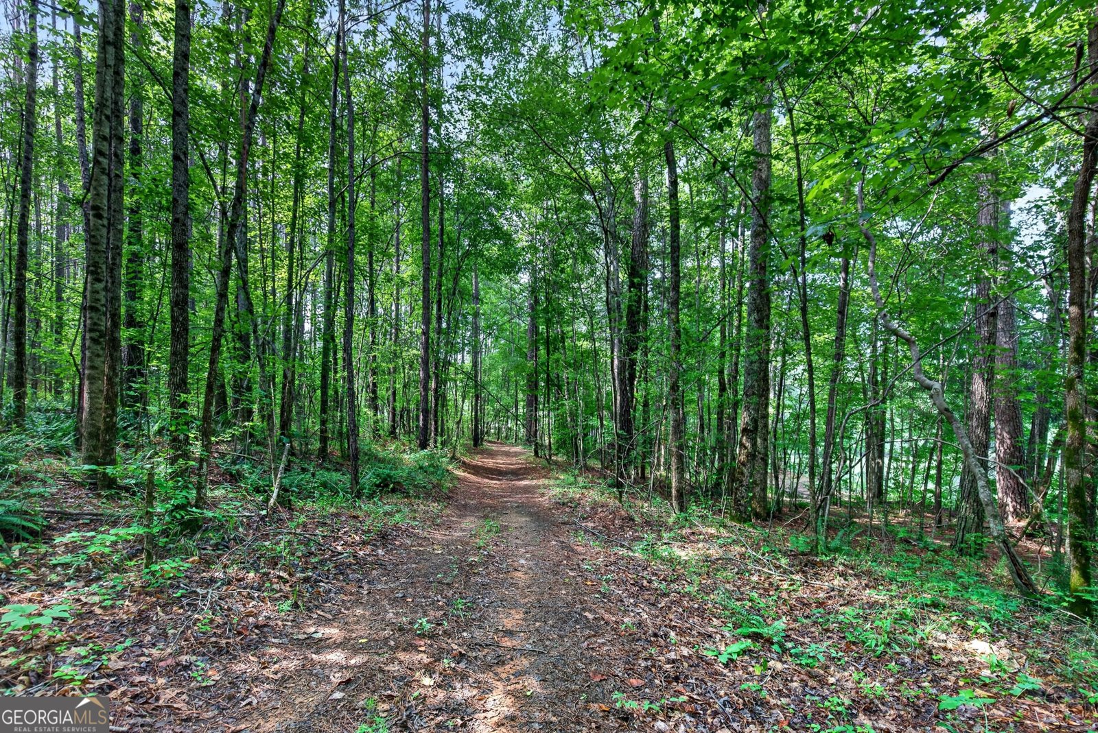 86 Pollen Trail Grantville - Photo 50
