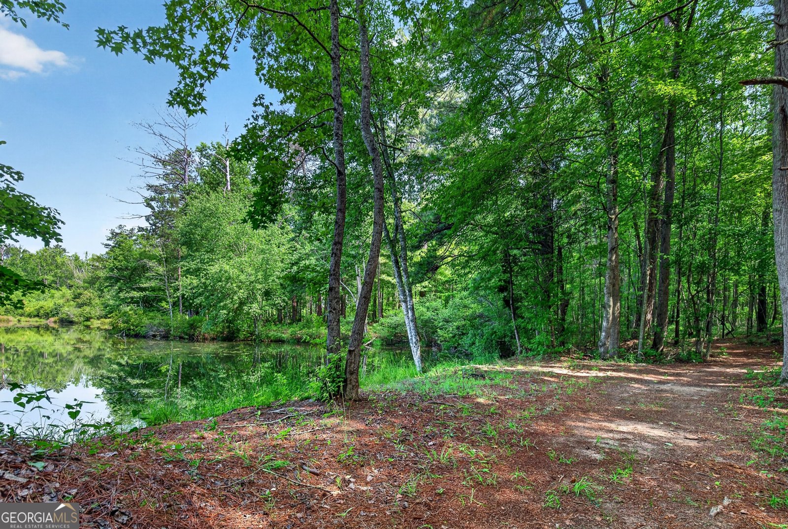 86 Pollen Trail Grantville - Photo 51