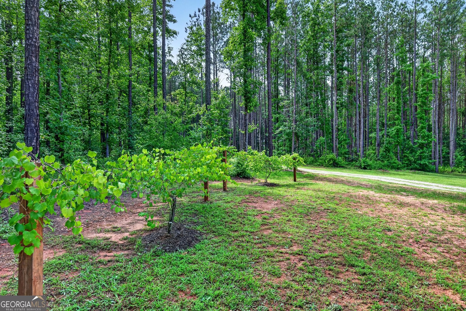 86 Pollen Trail Grantville - Photo 54