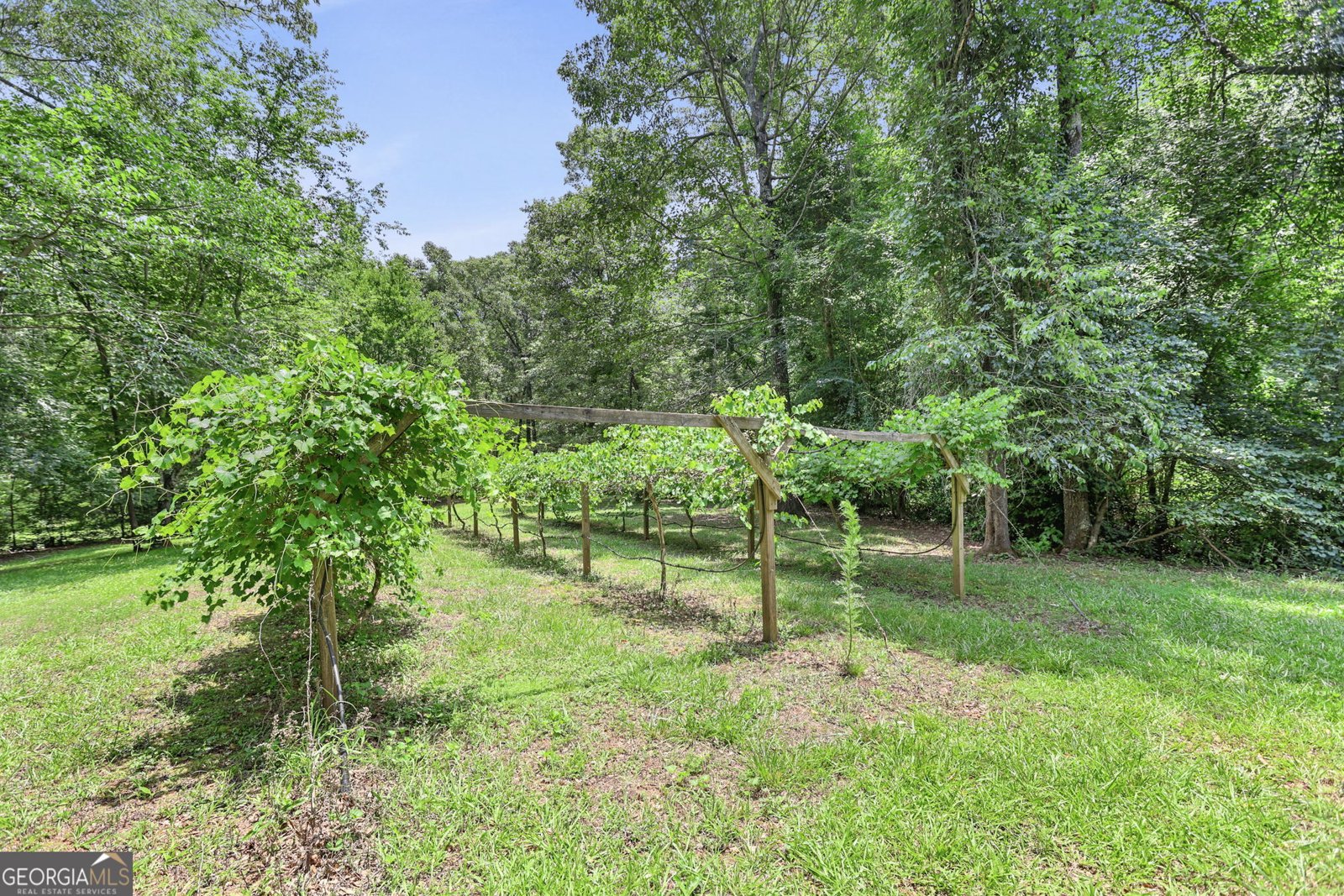 575 Covered Bridge Road Covington - Photo 36