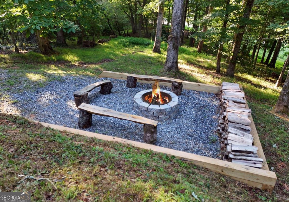 2682 Douthit Road Mineral Bluff - Photo 19