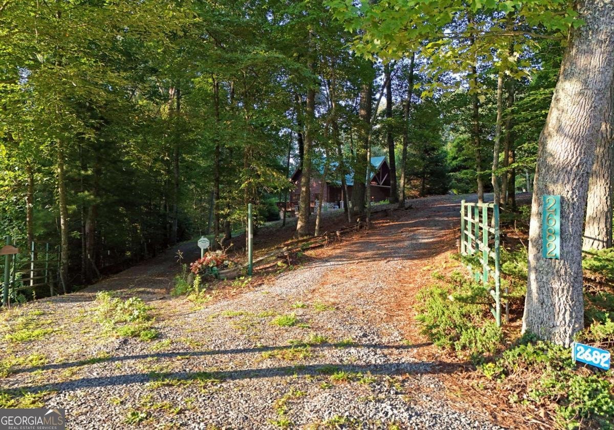 2682 Douthit Road Mineral Bluff - Photo 55