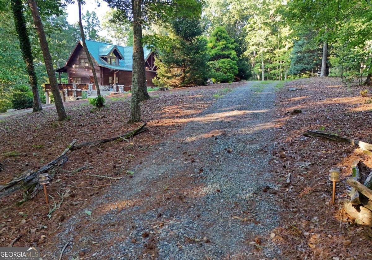 2682 Douthit Road Mineral Bluff - Photo 57