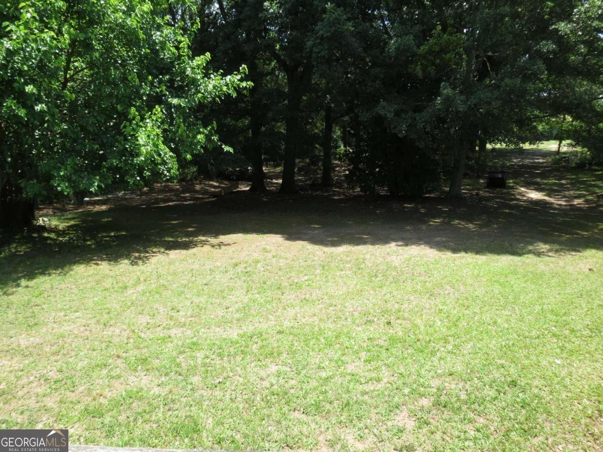 418 Wilbanks Street Baldwin - Photo 18