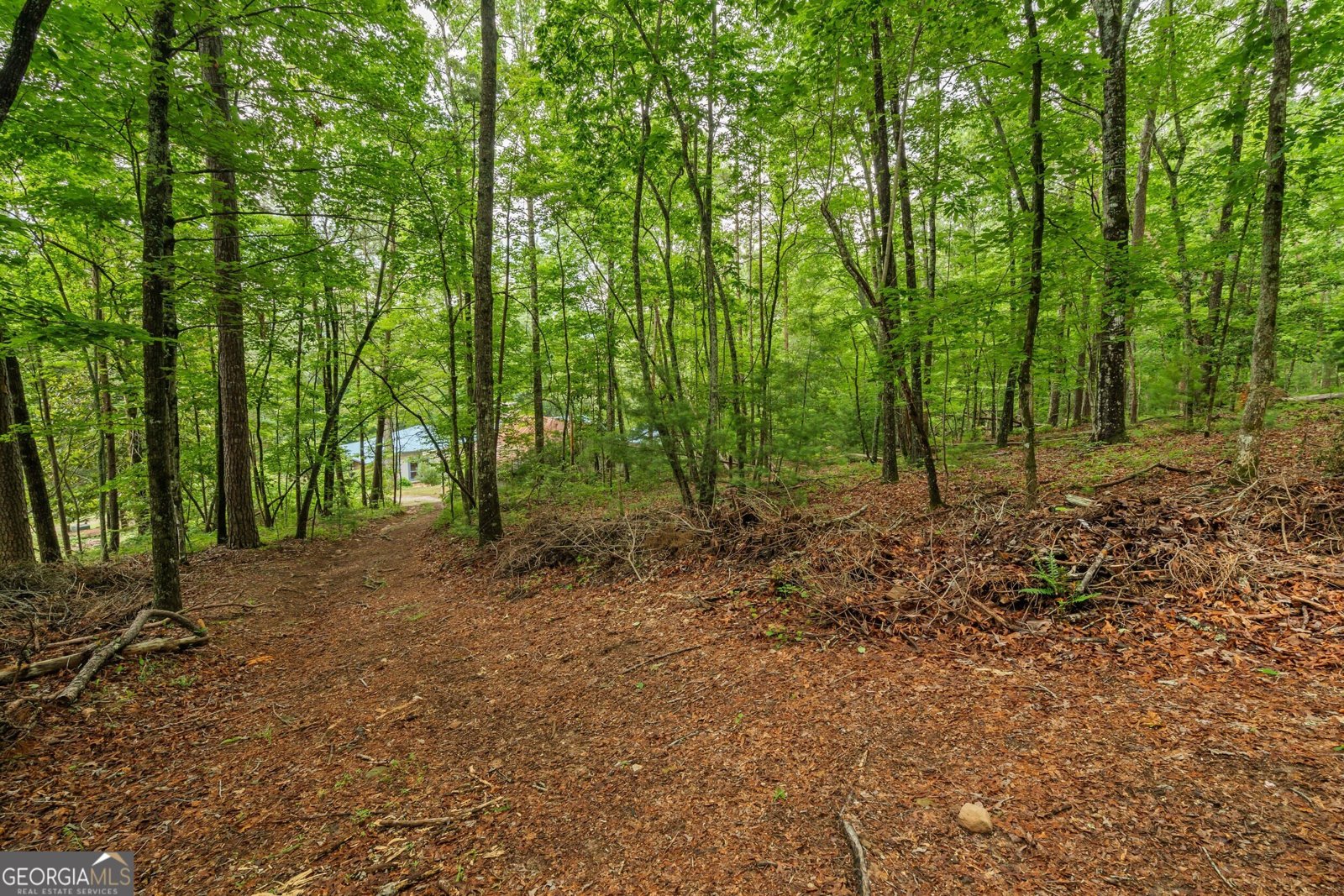 63 + 84 Loudermilk Lane Lakemont - Photo 72