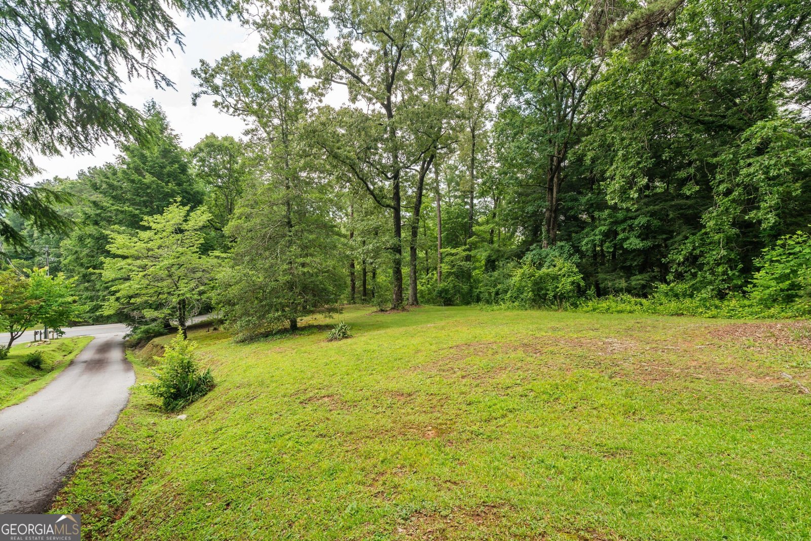 63 + 84 Loudermilk Lane Lakemont - Photo 94