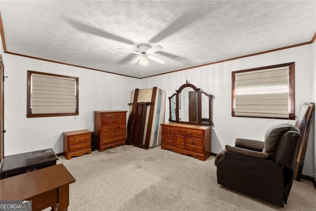 386 Allen Street Dawsonville - Photo 19