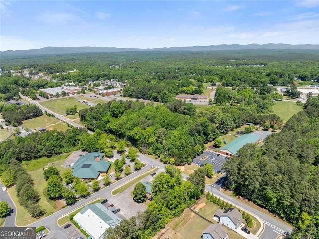 386 Allen Street Dawsonville - Photo 34
