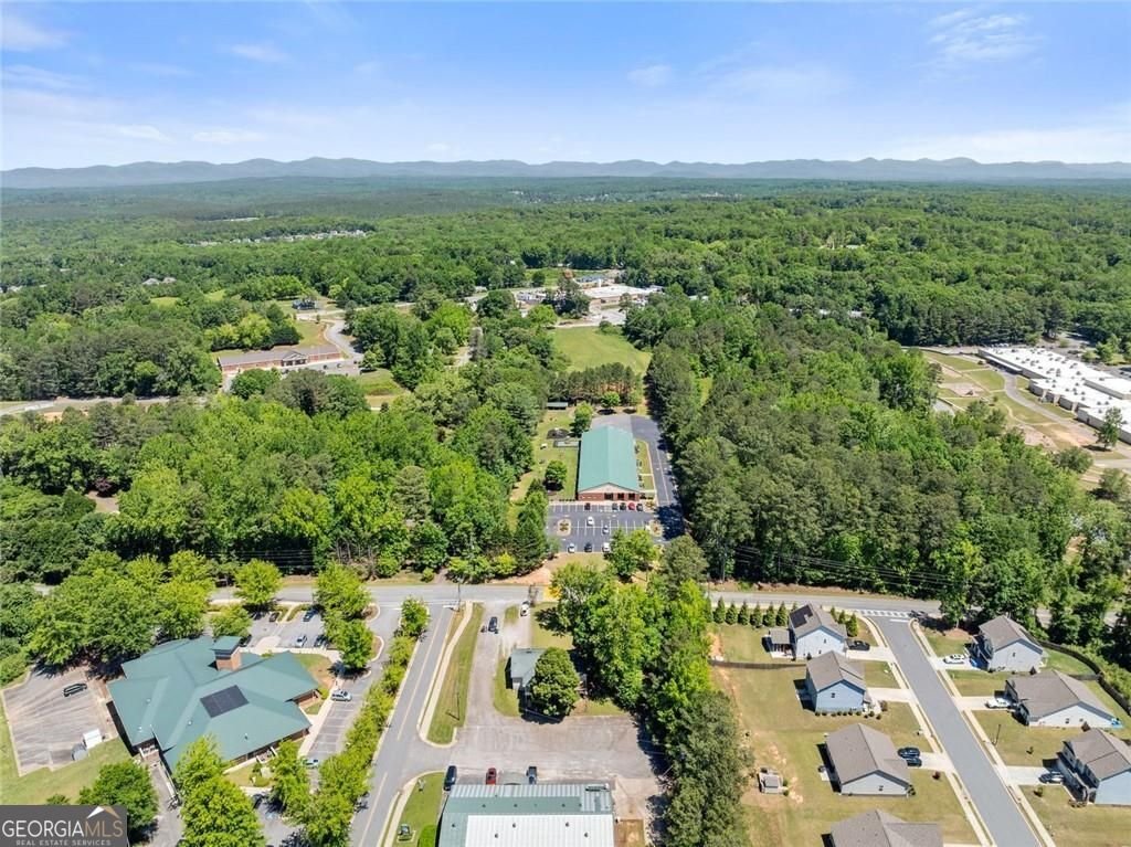 386 Allen Street Dawsonville - Photo 35
