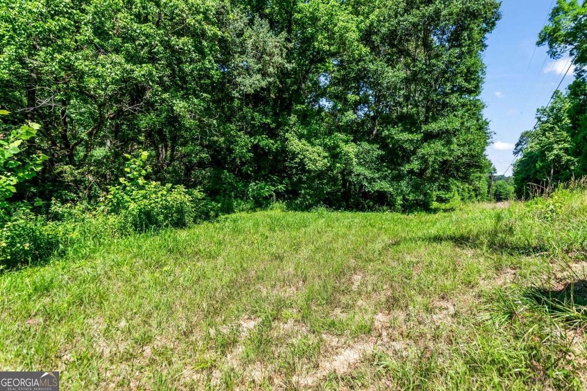 773 Fairview Road Jasper - Photo 101