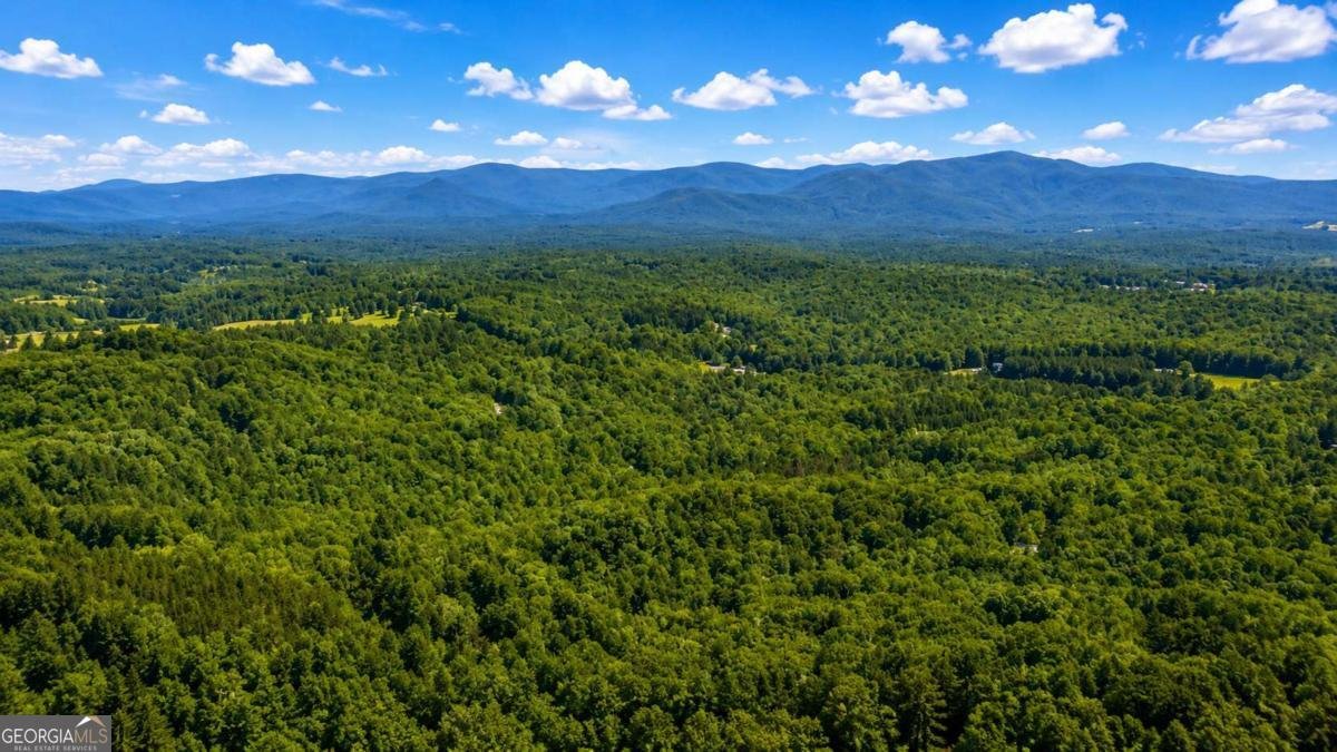 773 Fairview Road Jasper - Photo 104