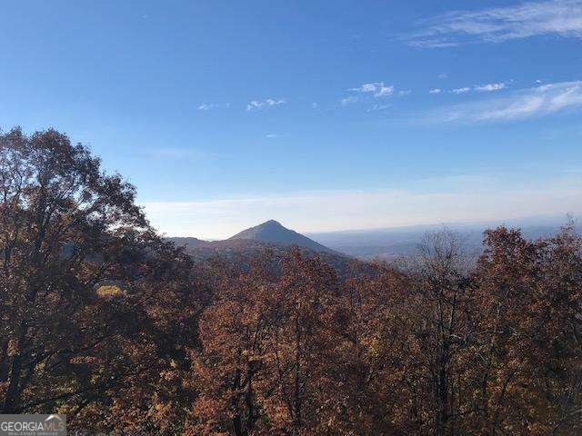 773 Fairview Road Jasper - Photo 121