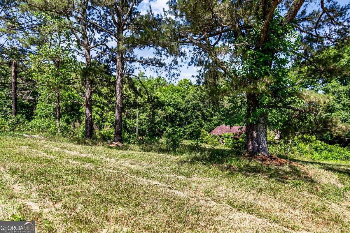 773 Fairview Road Jasper - Photo 29