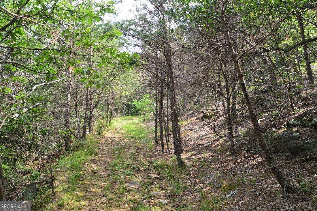 773 Fairview Road Jasper - Photo 48