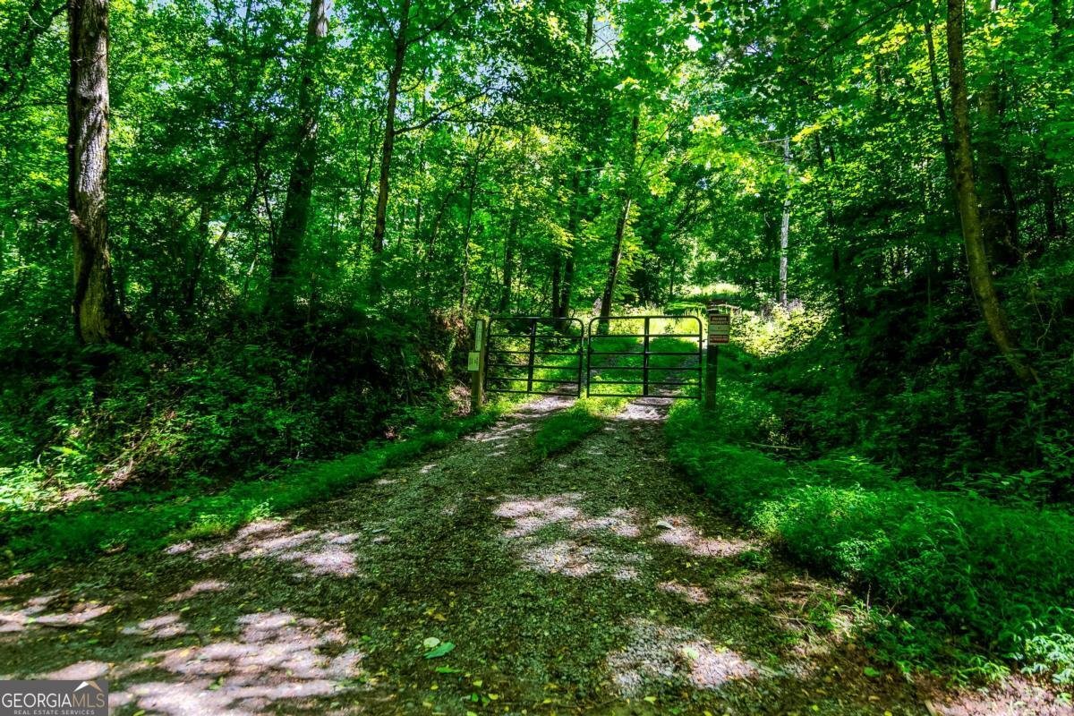 773 Fairview Road Jasper - Photo 75