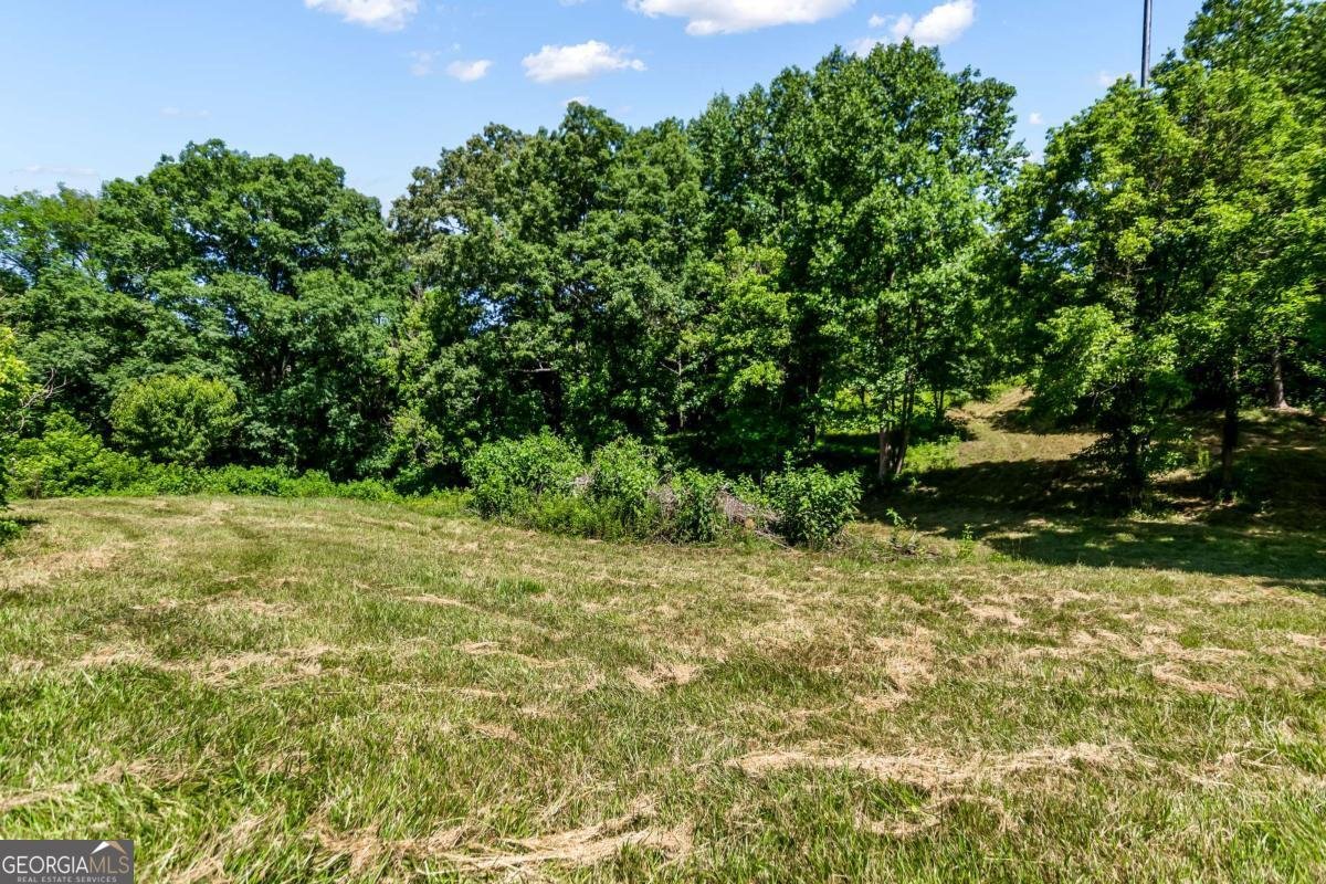 773 Fairview Road Jasper - Photo 97