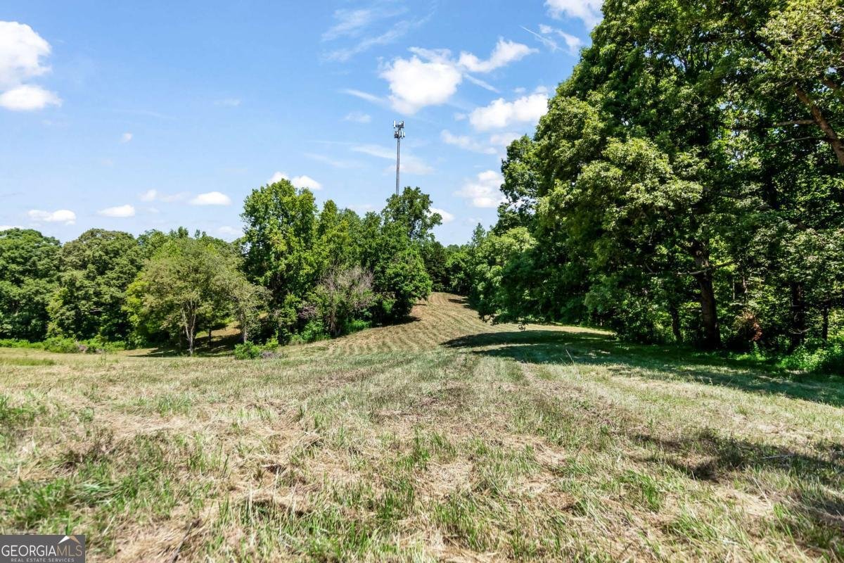 773 Fairview Road Jasper - Photo 99