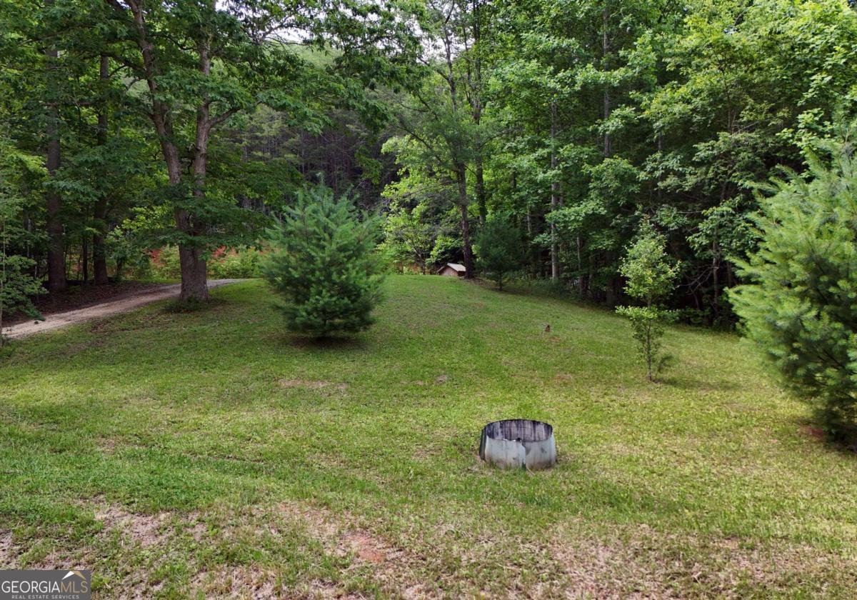 34 Summerhill Lane Blairsville - Photo 14